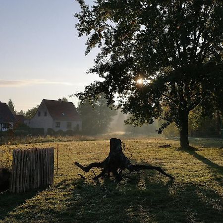 Ferienwohnung & Campingplatz Vor Dem Berg Heideblick Exterior foto
