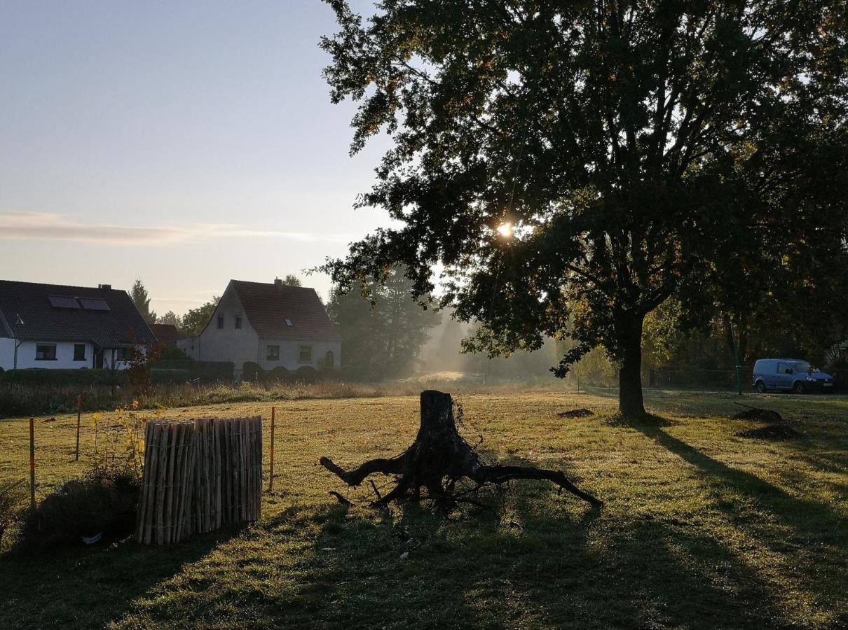 Ferienwohnung & Campingplatz Vor Dem Berg Heideblick Exterior foto